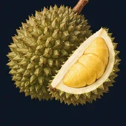 Illustration of a durian — a general depiction of the fruit, not a specific variety.