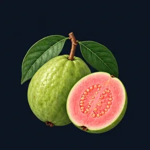 Guava