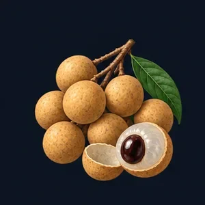 Longan