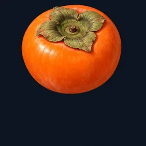 Illustration of persimmons — a general depiction of the fruit, not dried hoshigaki or a specific variety.