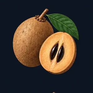 Sapodilla